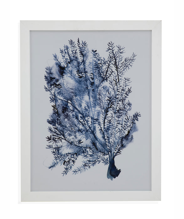 Seaweed Under Water II Framed Print