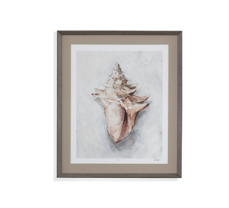 White Shell Study I