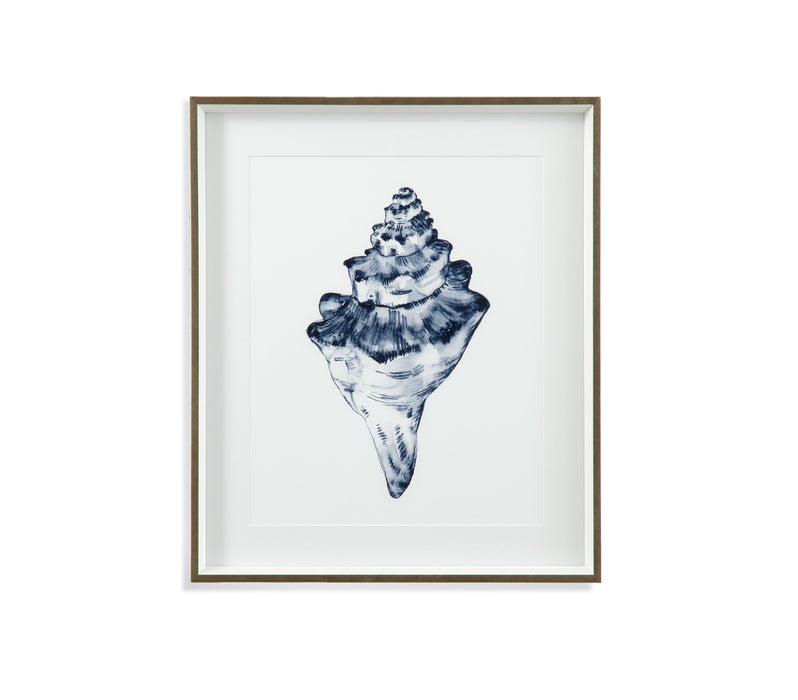 Quiet Conch In Indigo III Framed Print