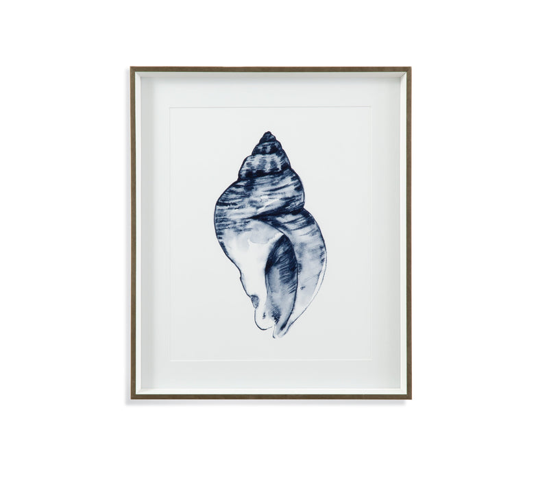 Quiet Conch In Indigo I Framed Print