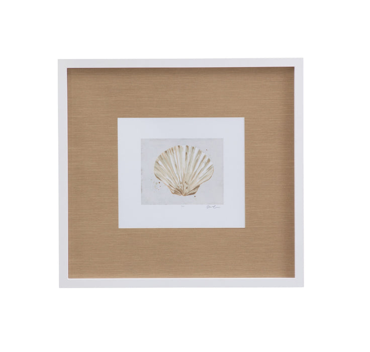 Neutral Shell Fresco IV Framed Print