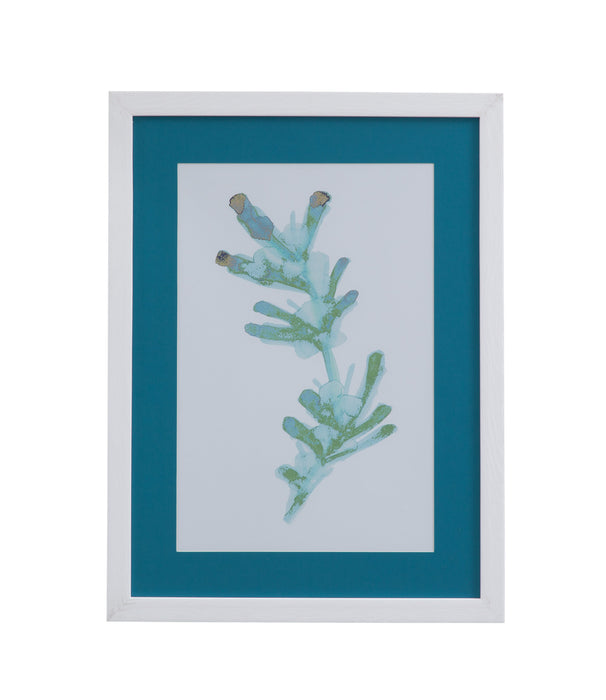 Watercolor Seaweed II Framed Print